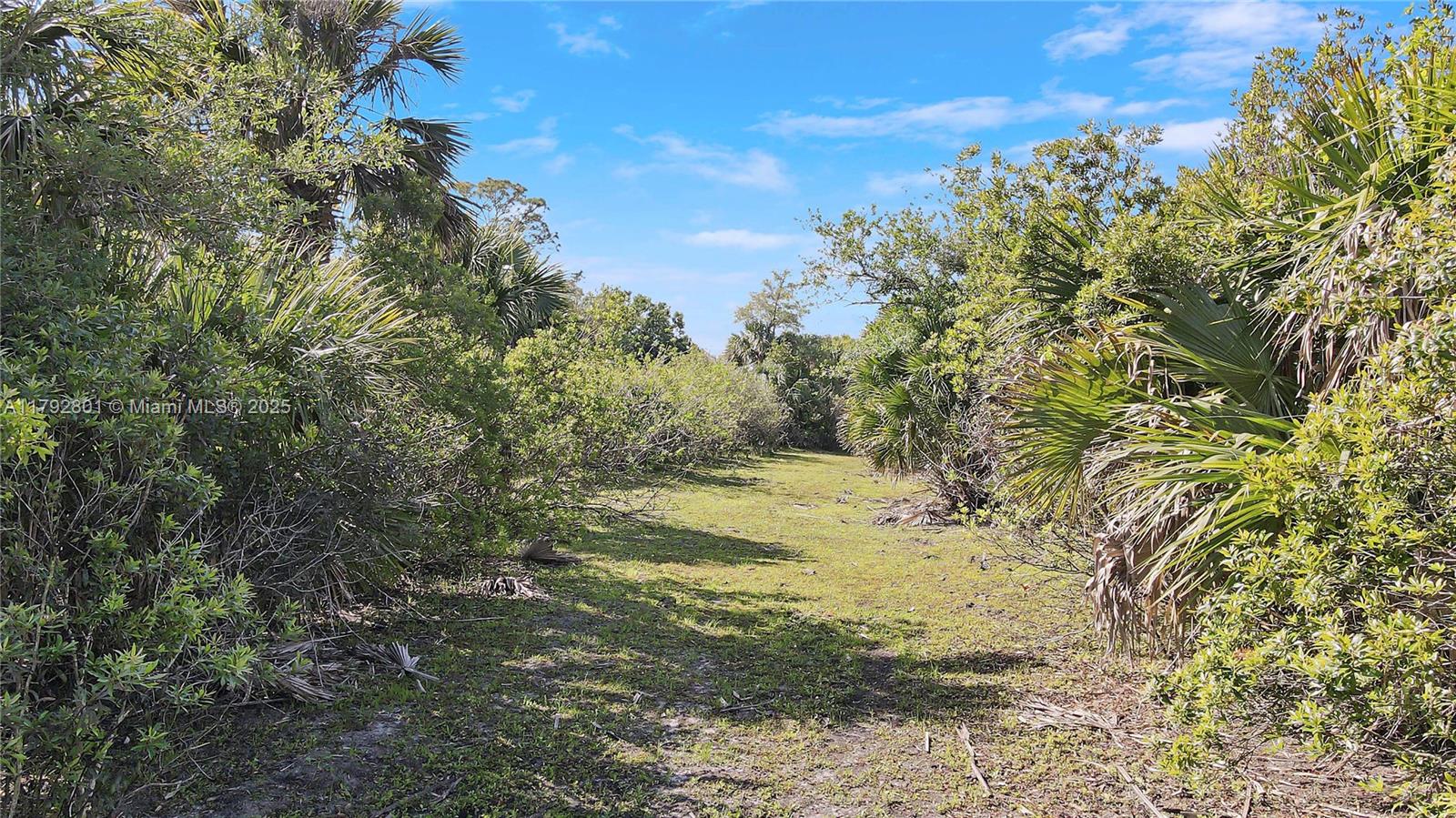 26714 Martin Hwy, Okeechobee, Florida image 29