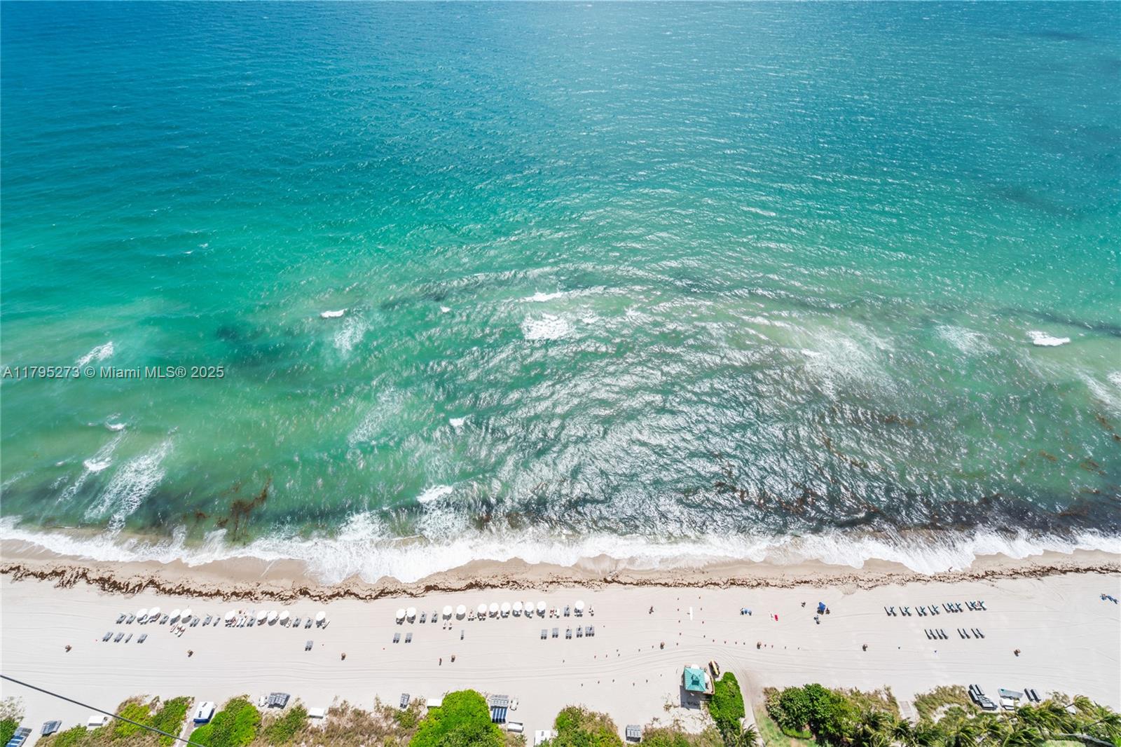15811 Collins Ave #3901, Sunny Isles Beach FL 33160