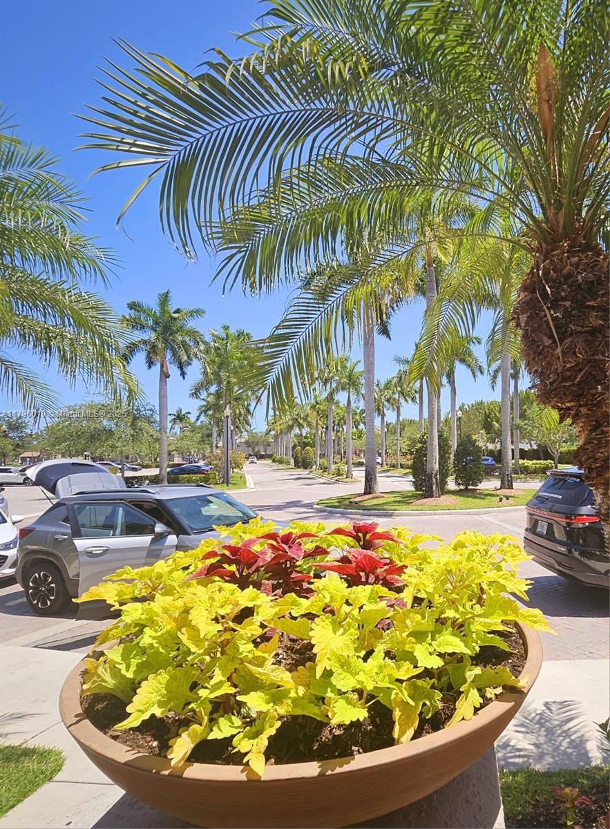 22526 SW 89th Pl, Cutler Bay, Florida image 3