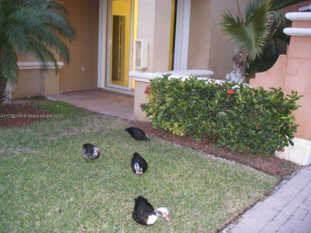 Property photo # 6