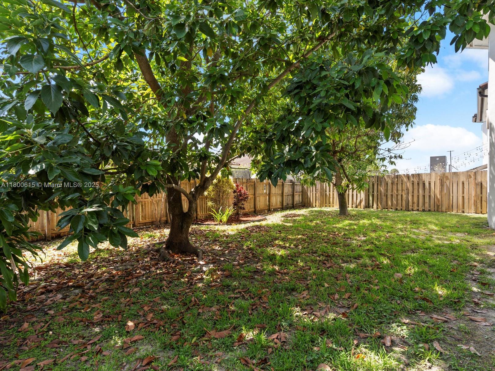 17616 SW 135th Ave, Miami, Florida image 11