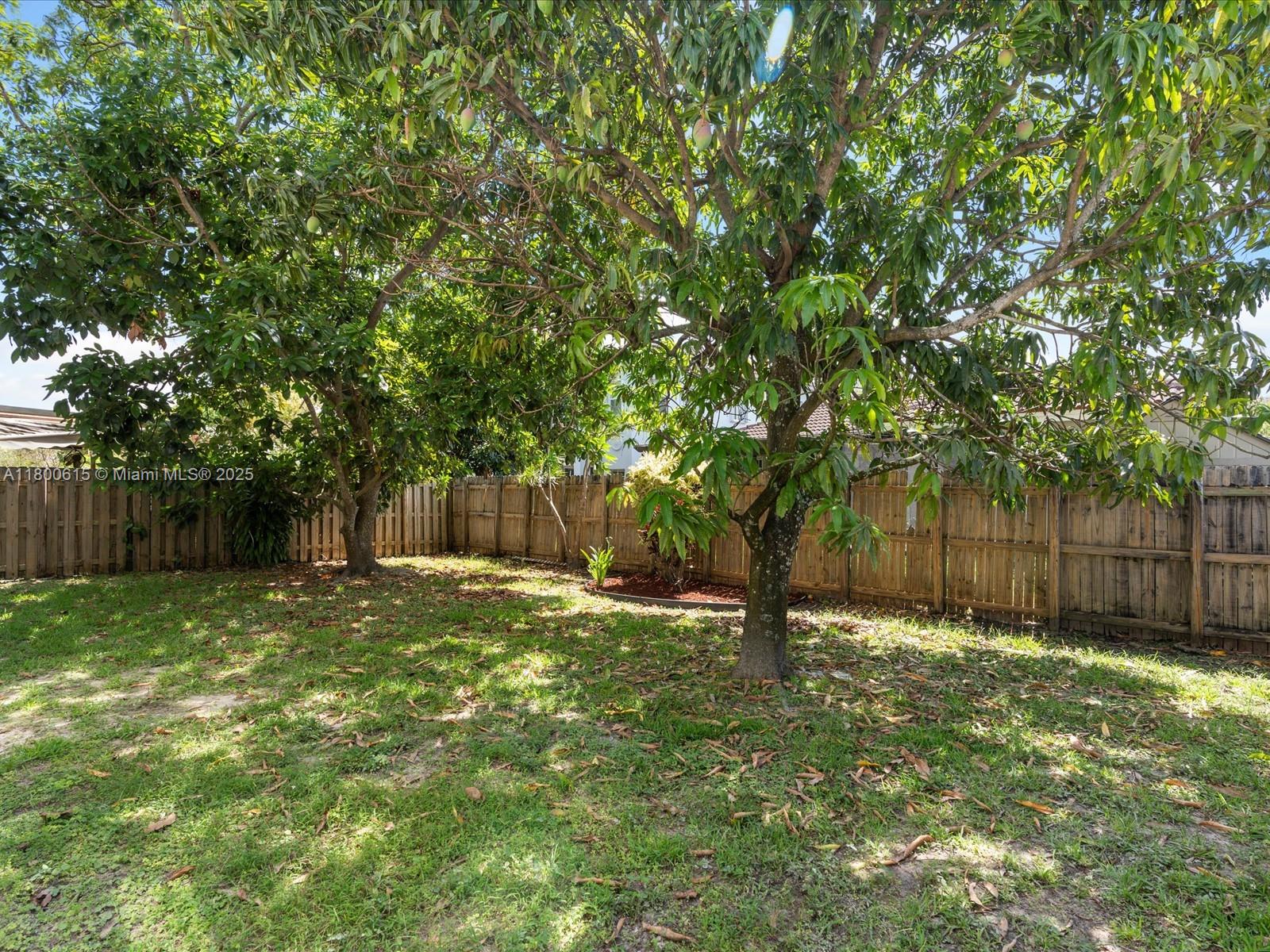 17616 SW 135th Ave, Miami, Florida image 12