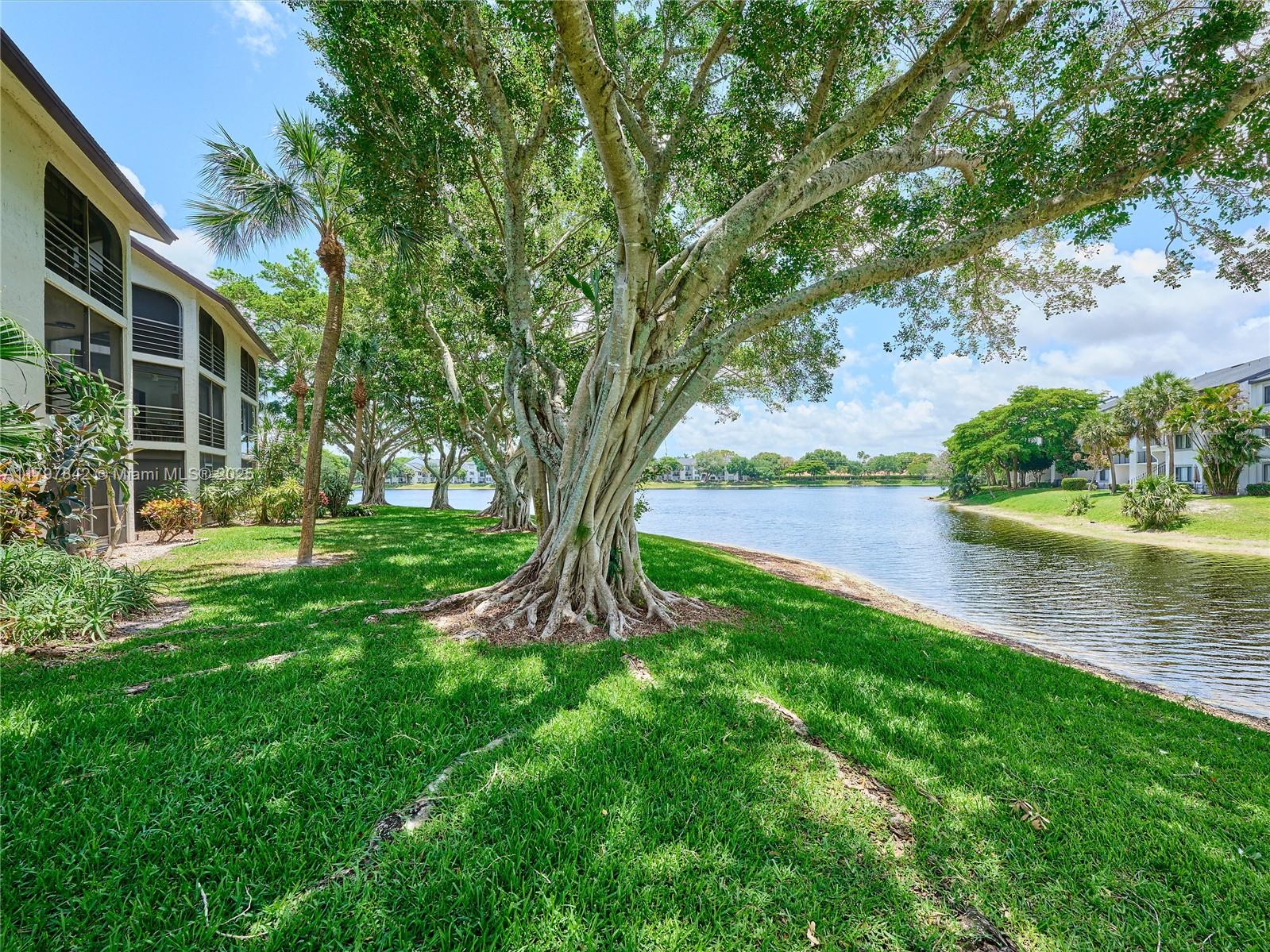 5380 Cedar Lake Dr #204, Boynton Beach, Florida image 3