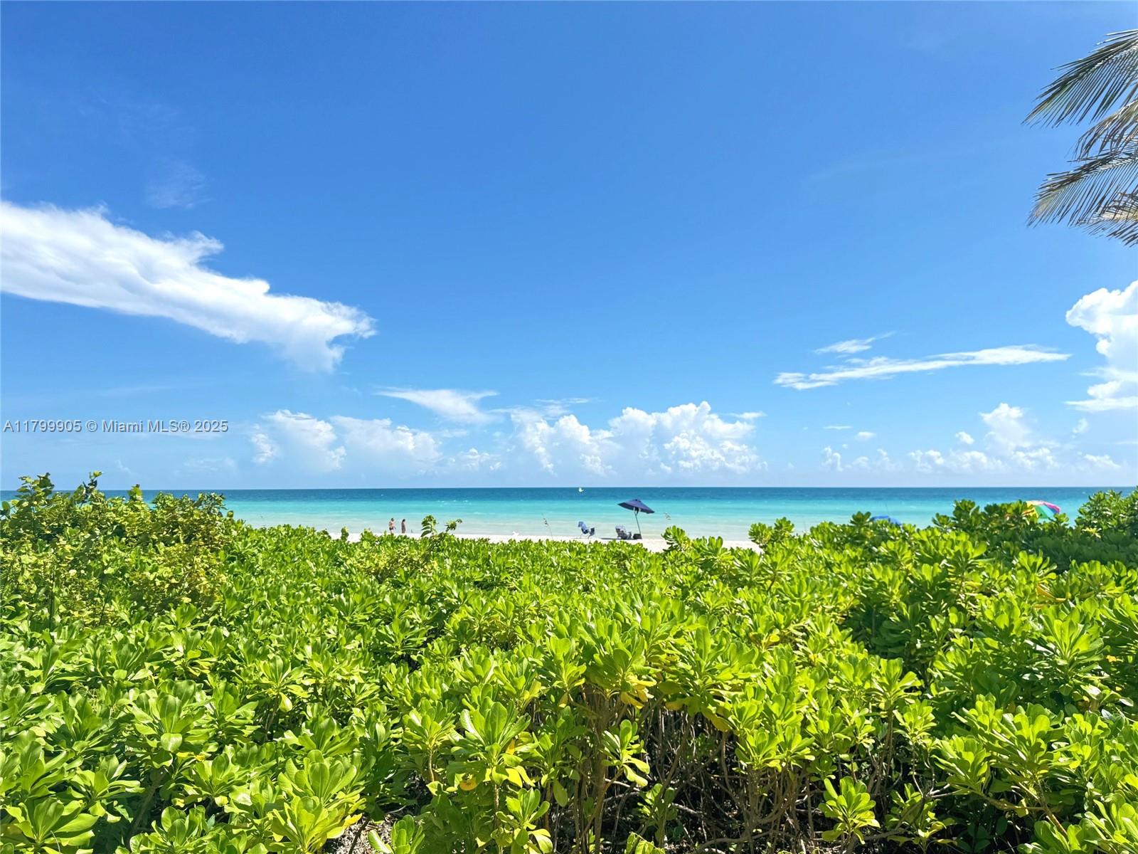 1936 S Ocean Dr #8D, Hallandale Beach, Florida image 20