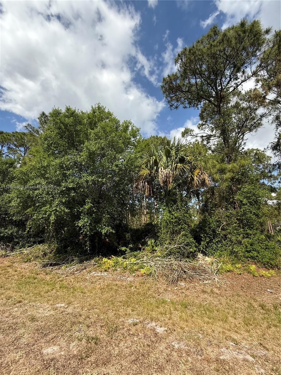 730 S Utopia St, Clewiston, Florida image 11