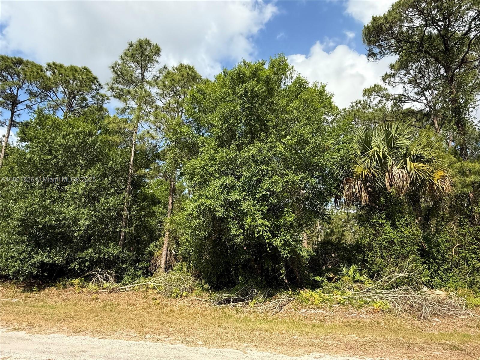 17xx Ne 60th St, Ocala, Florida image 2