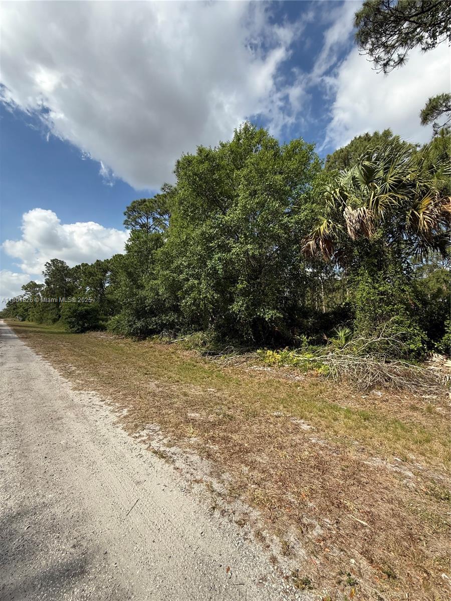 17xx Ne 60th St, Ocala, Florida image 4
