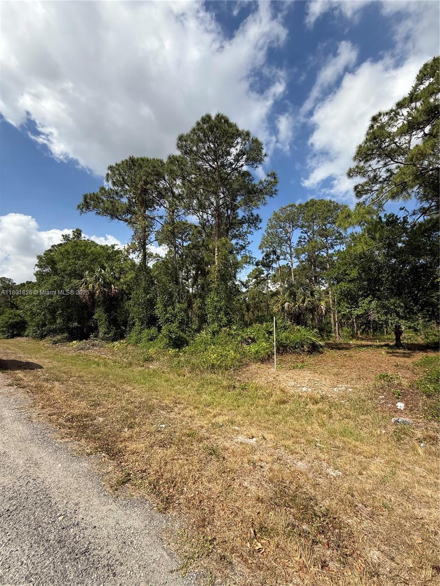 17xx Ne 60th St, Ocala, Florida image 6