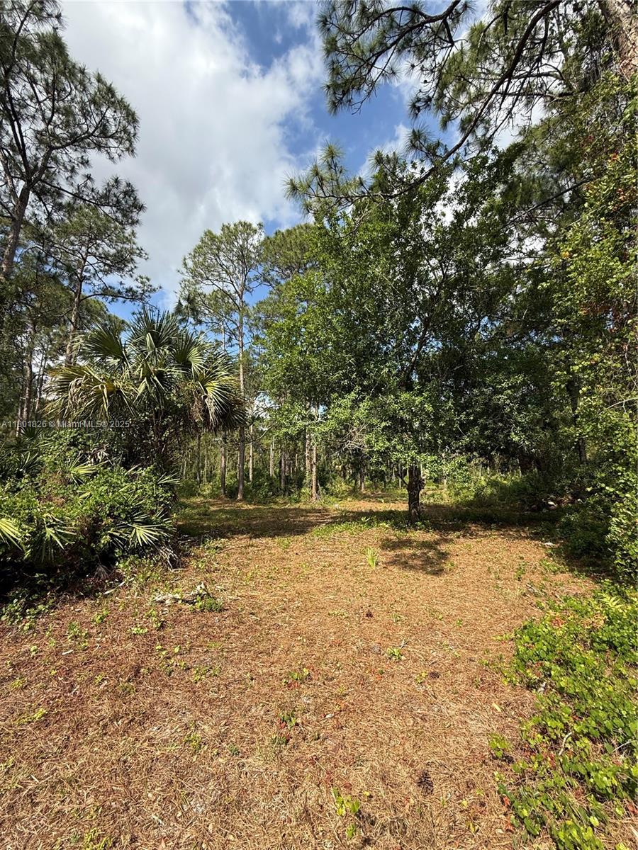 730 S Utopia St, Clewiston, Florida image 7