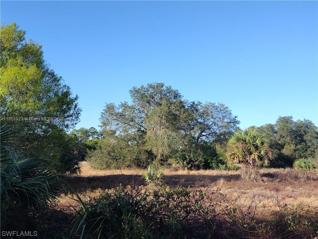 230 S Arboleda St, Clewiston, Florida image 3