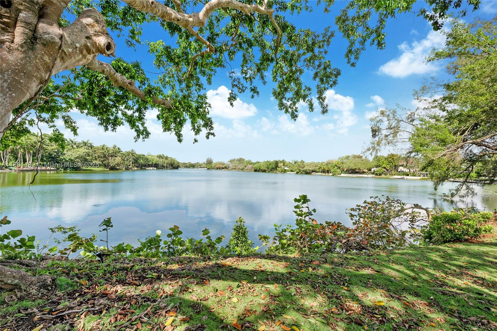 9000 School House Rd, Coral Gables, Florida image 21