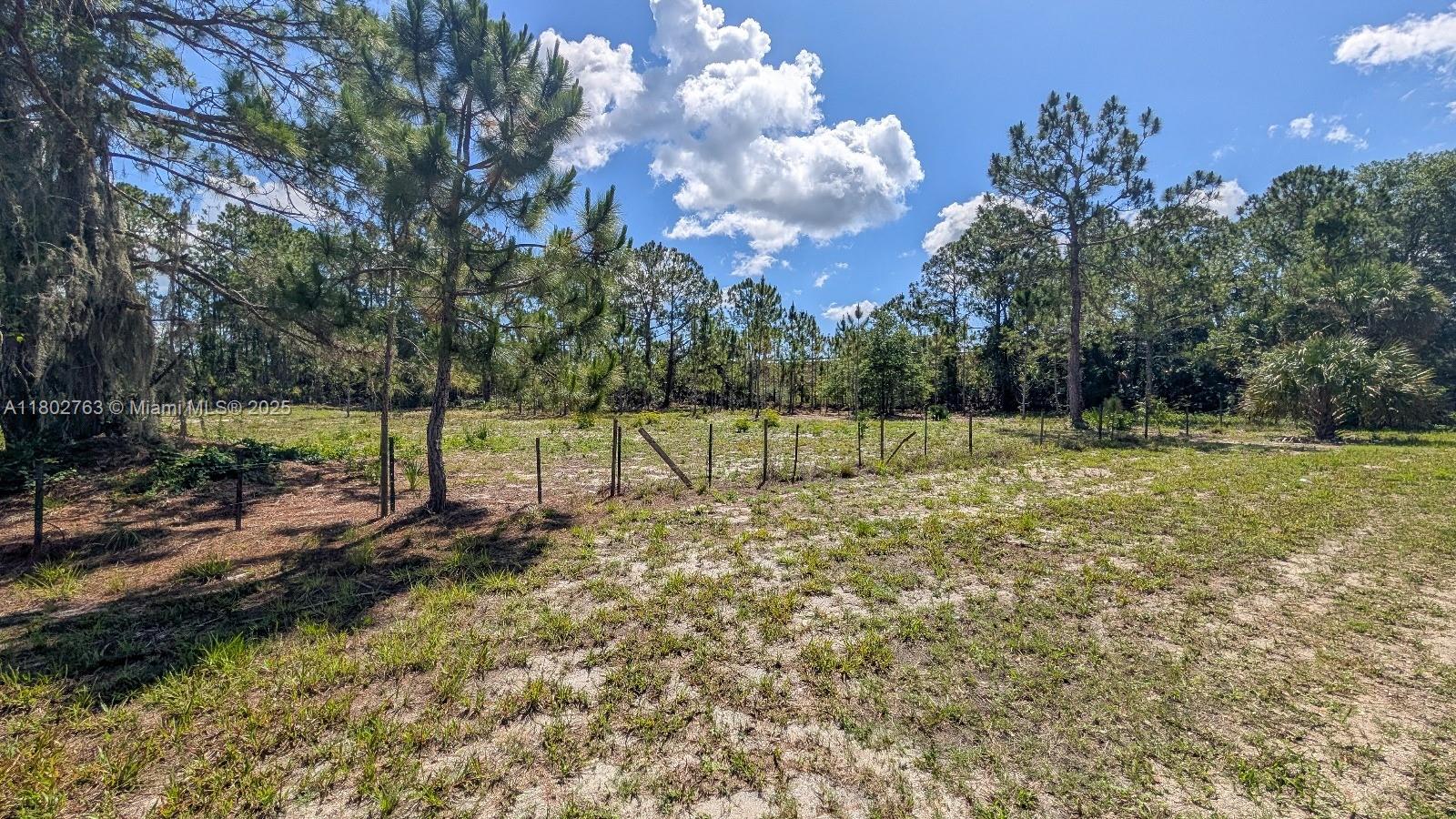 Blounts Ridge Rd, Mims, Florida image 5