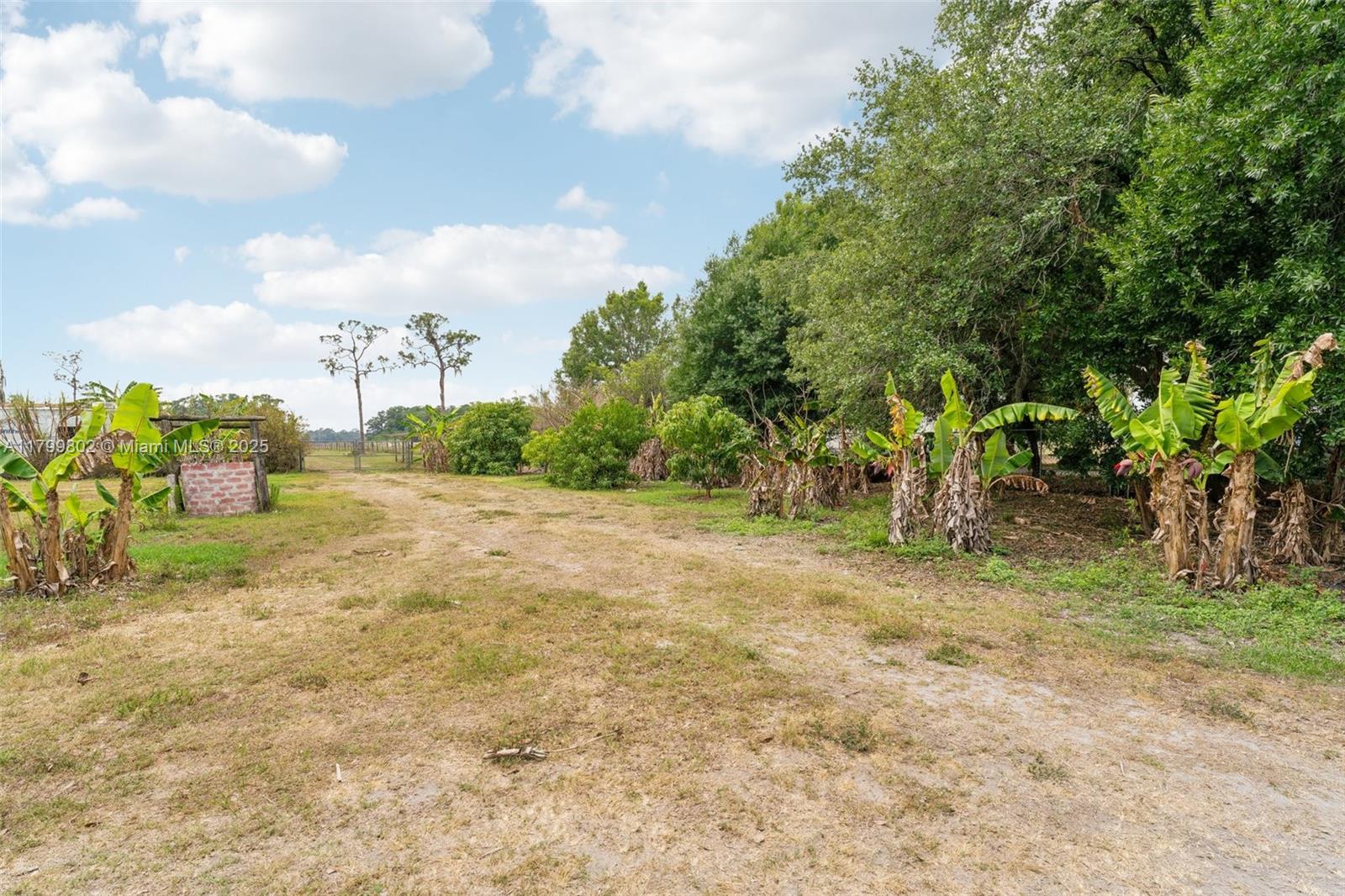 260 Taft Boulevard, Clewiston, Florida image 26