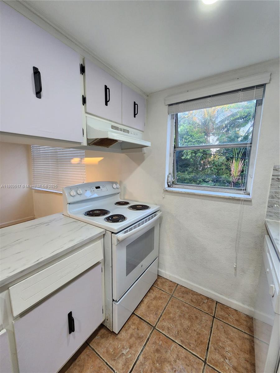 1100 NE 9th Ave, Fort Lauderdale, Florida image 9