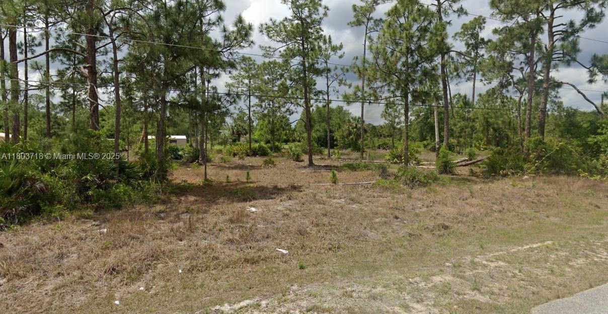 1217 Eighth Ave, Lehigh Acres, Florida image 2