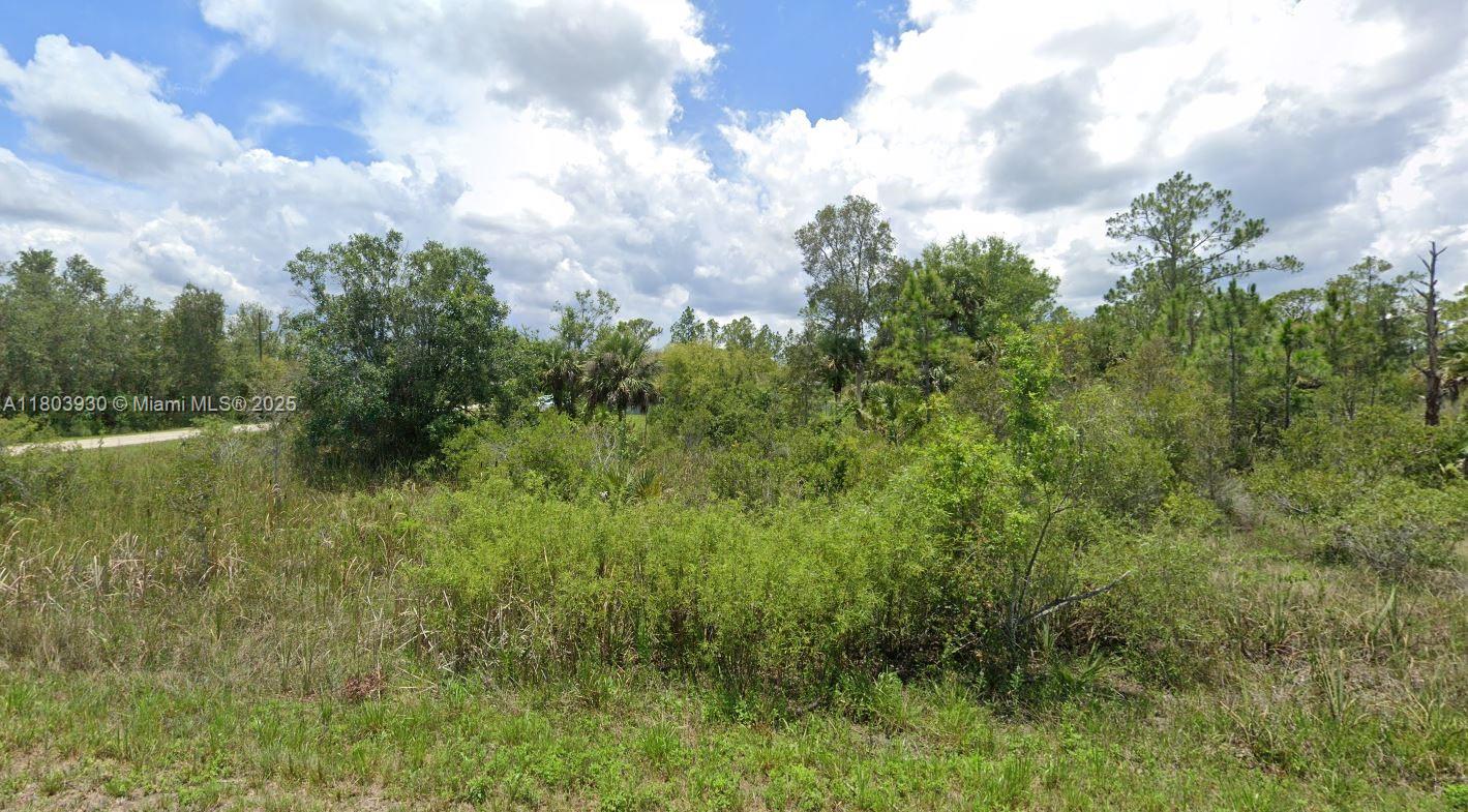 1935 Holyoke Ave, Lehigh Acres, Florida image 3