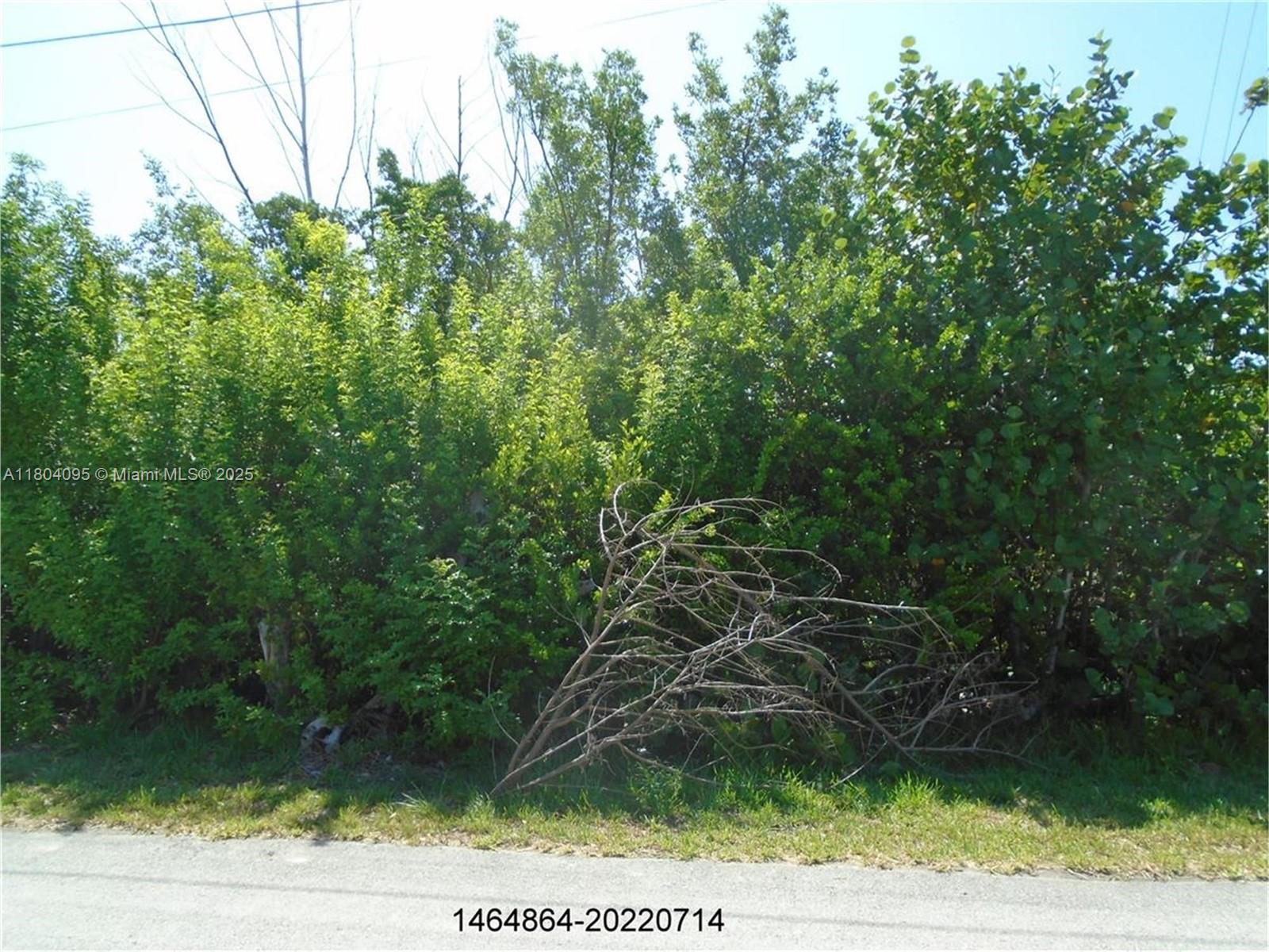 113 Jamaica St, Duck, Florida image 4
