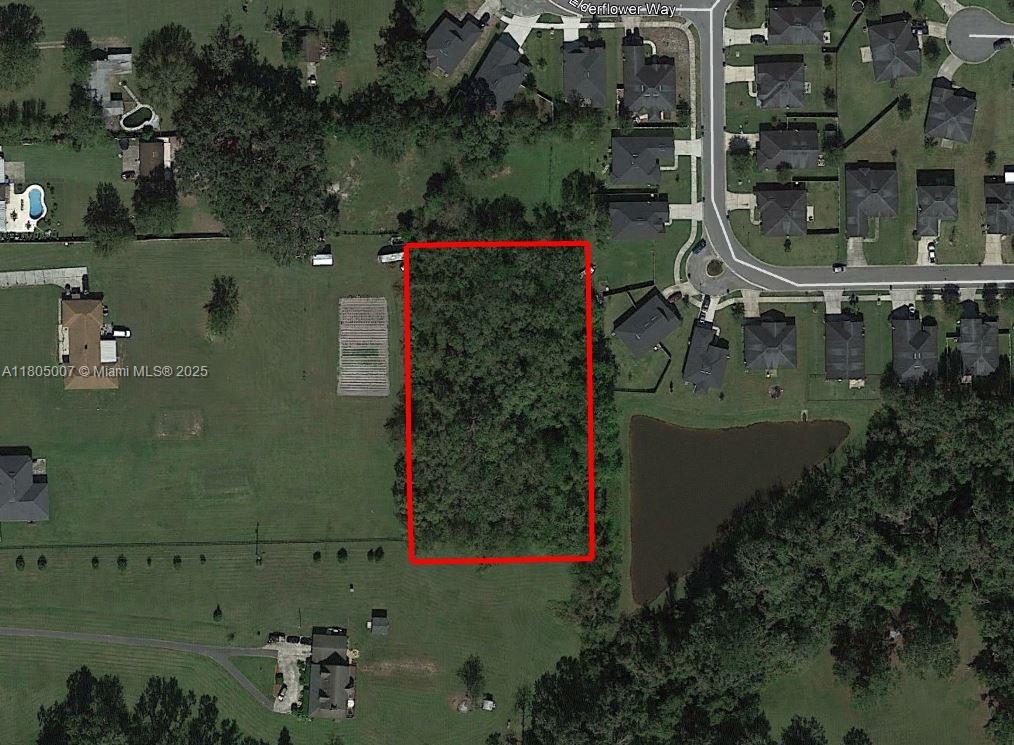 Land, Jacksonville, Florida image 6