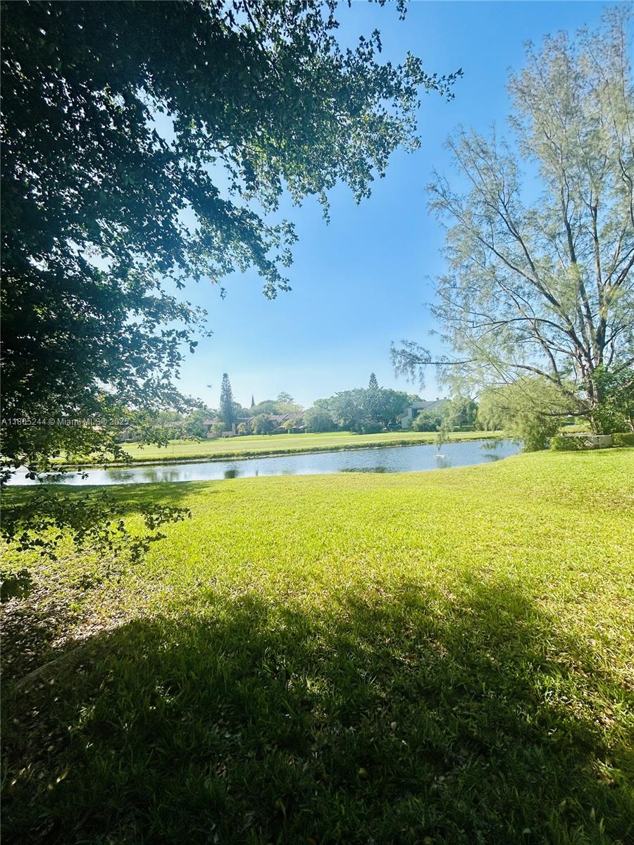 3480 Torremolinos Ave #A-33, Doral, Florida image 19