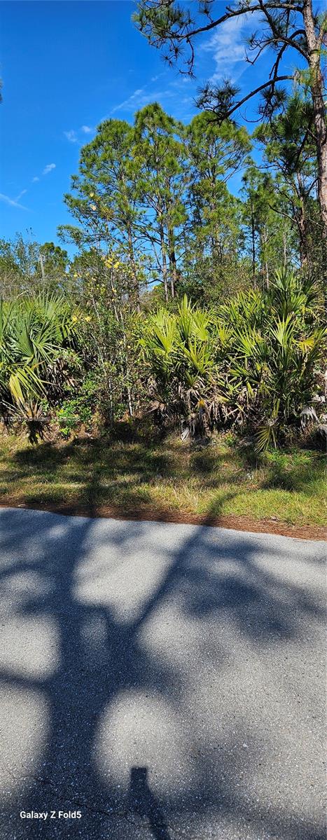 27396 Corinthian Ave, Punta Gorda, Florida image 5