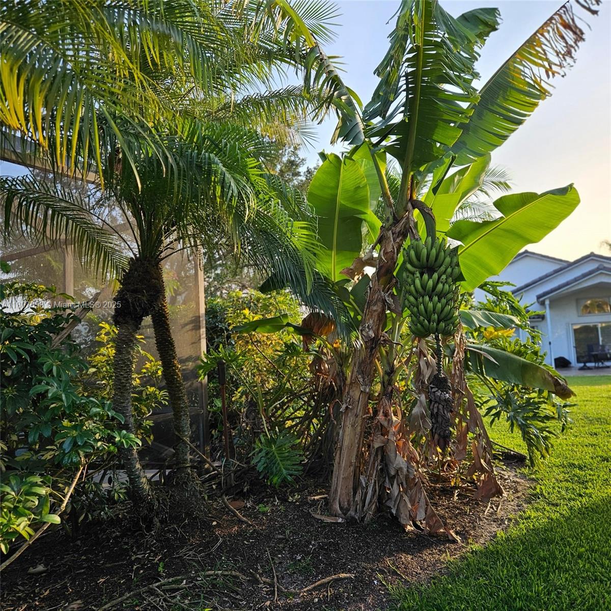 2540 Egret Lake Dr, Green Acres, Florida image 6