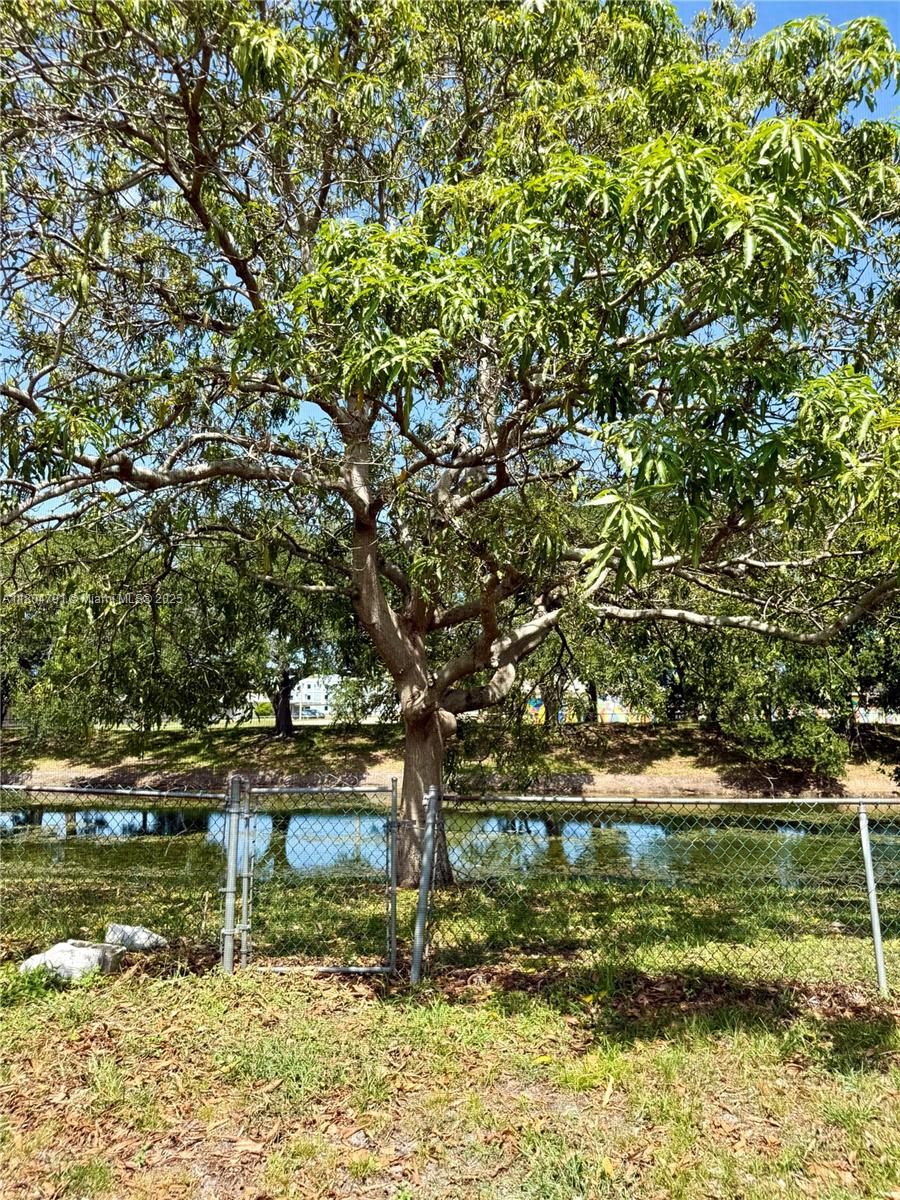Residential, Pembroke Pines, Florida image 6