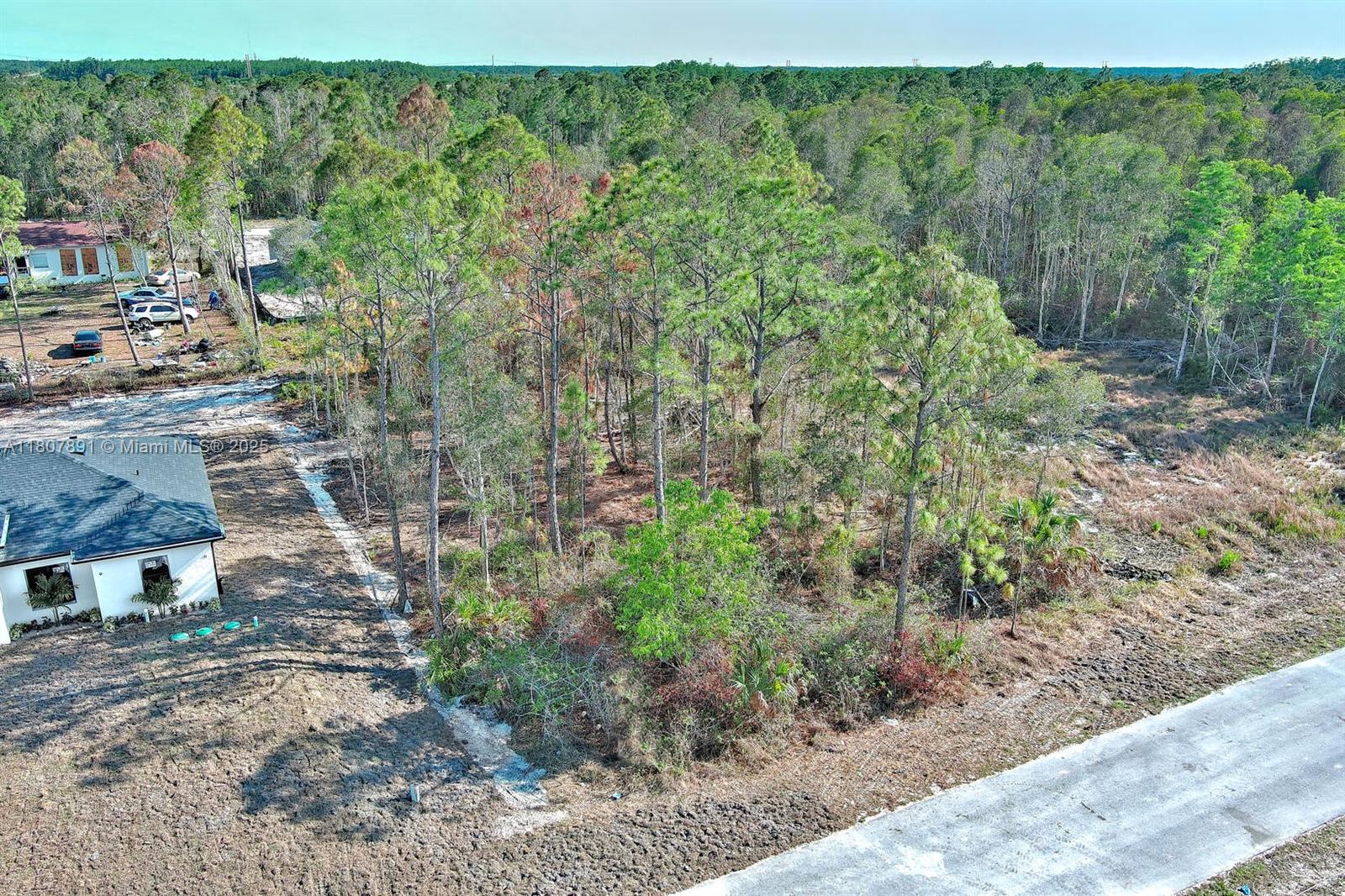 634 Ladd St, Lehigh Acres, Florida image 1