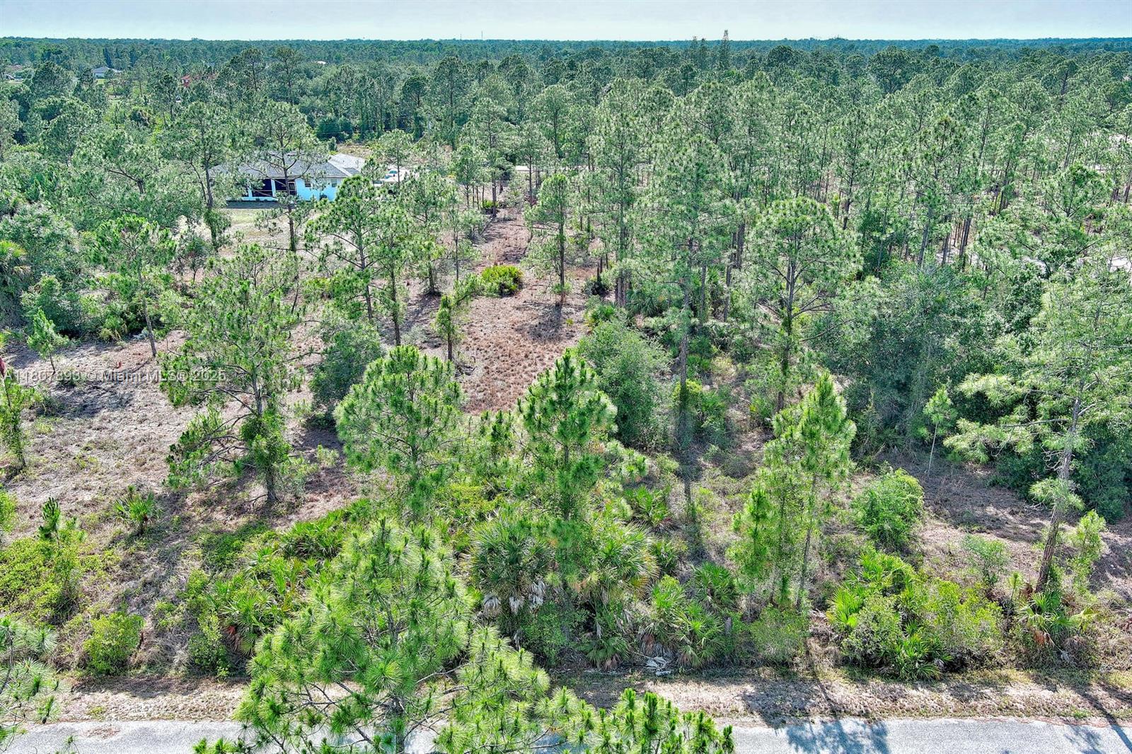 317 Fitch Ave, Lehigh Acres, Florida image 4