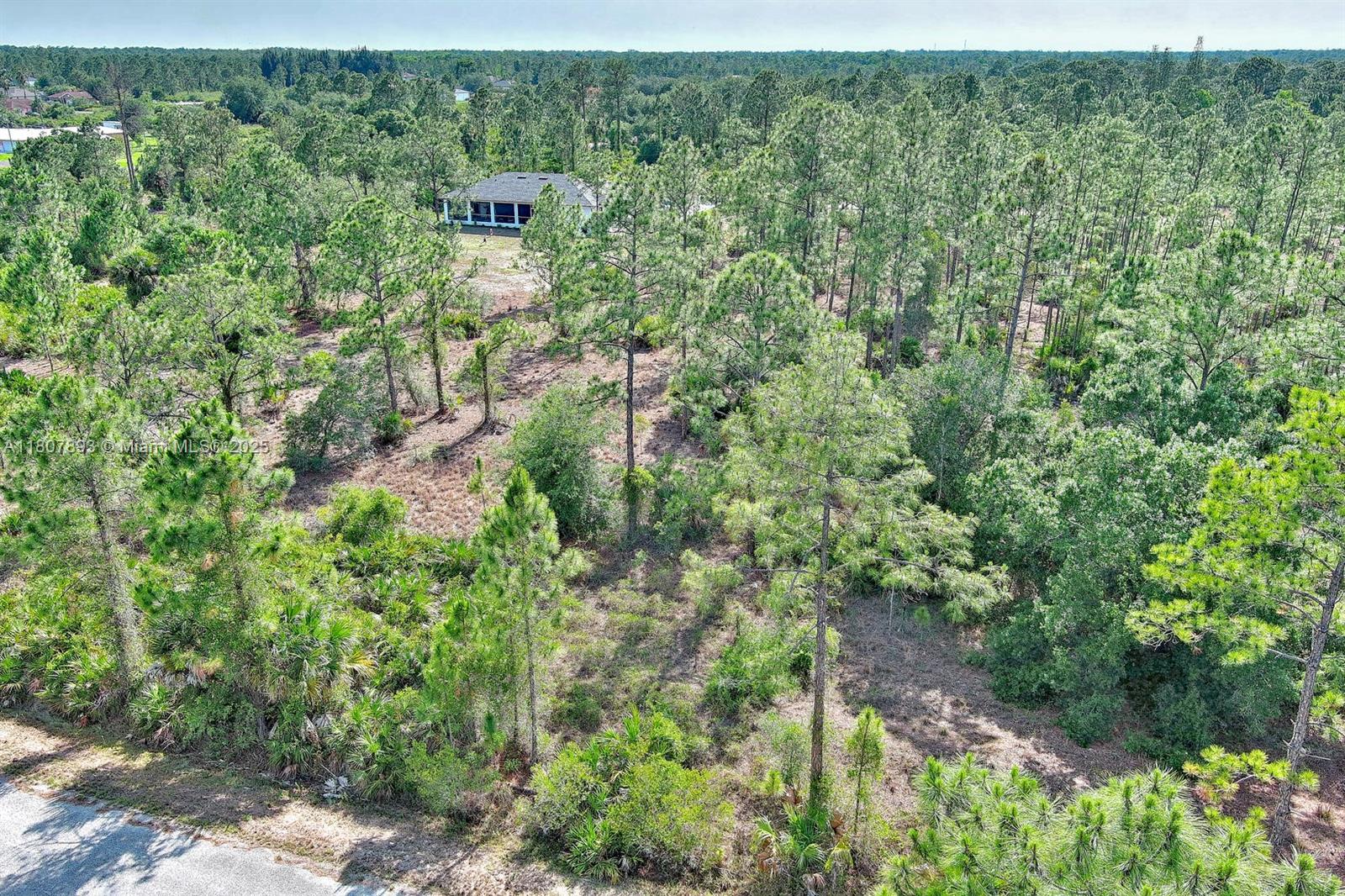 317 Fitch Ave, Lehigh Acres, Florida image 5