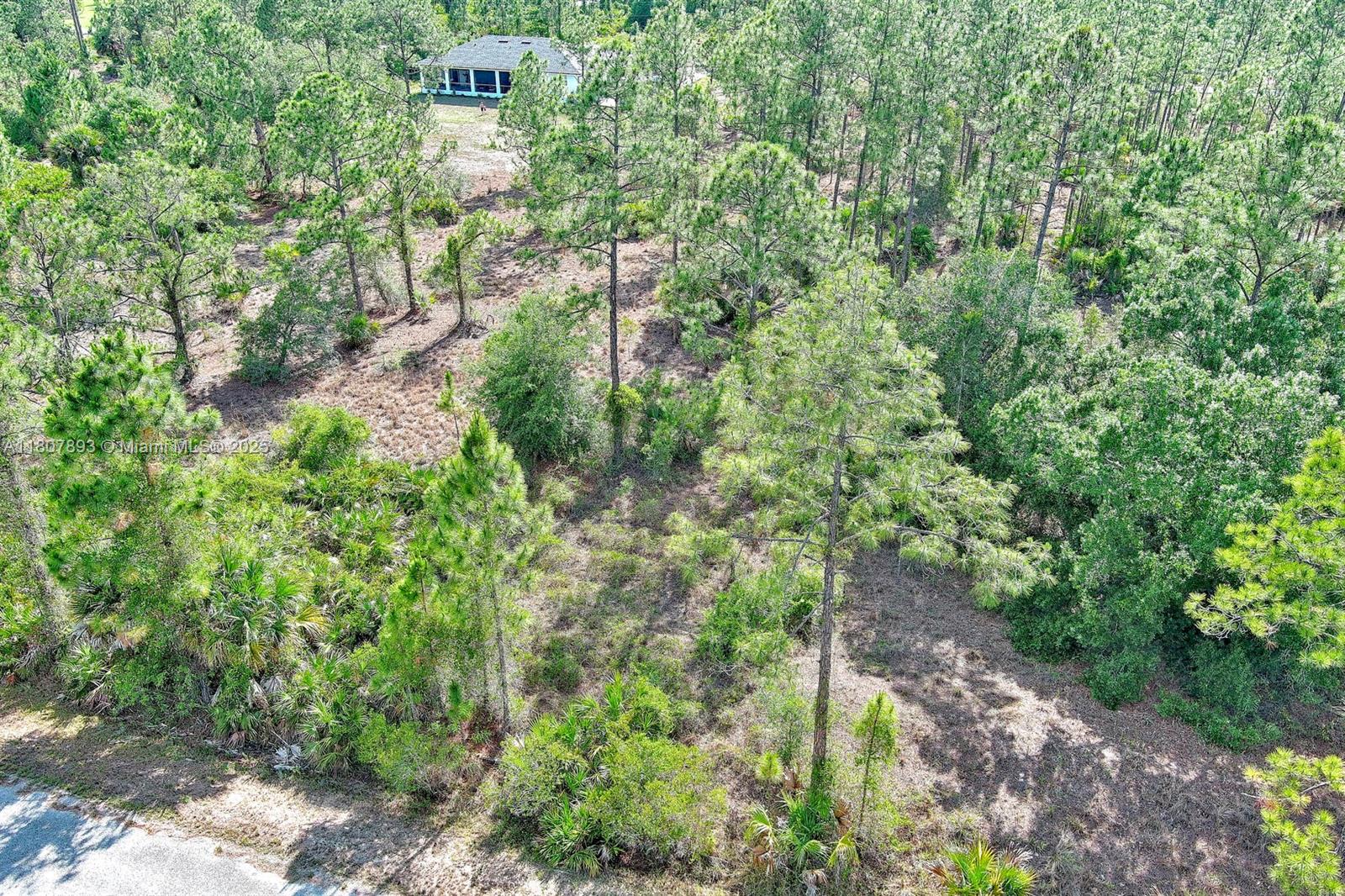 317 Fitch Ave, Lehigh Acres, Florida image 6