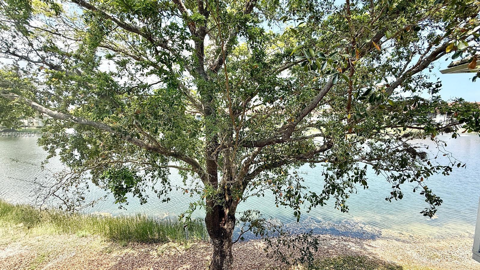 Property photo # 8