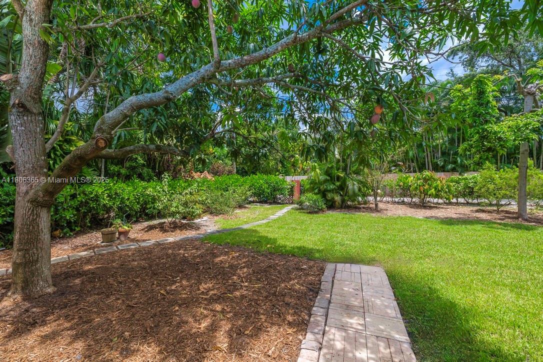 65 NE 107th St, Miami Shores, Florida image 14