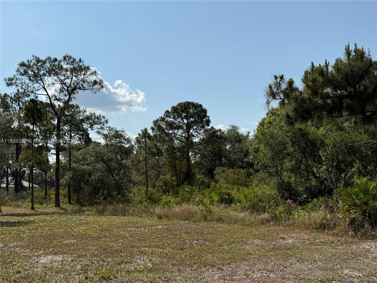 720 N Zambria St, Clewiston, Florida image 1
