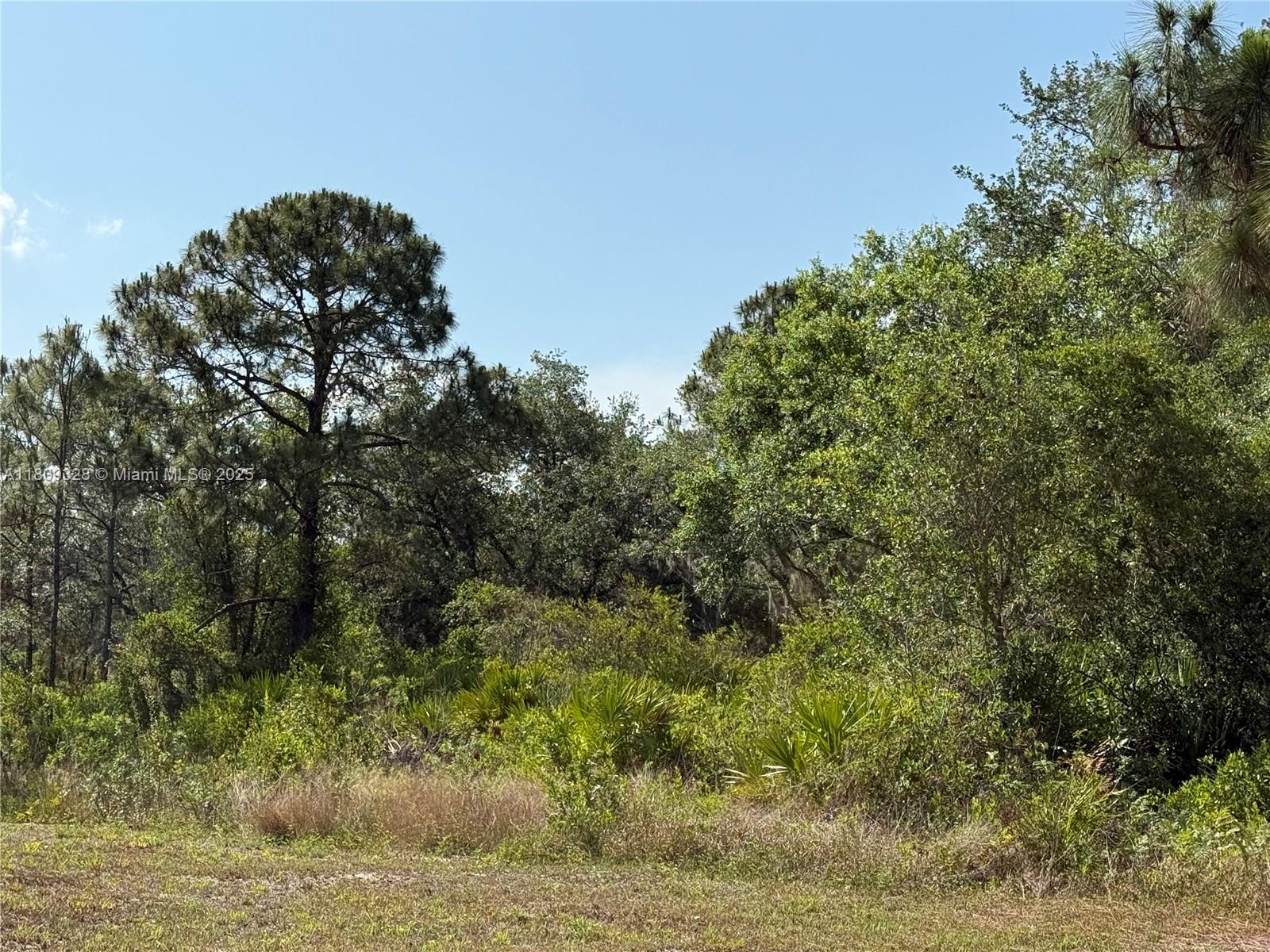 720 N Zambria St, Clewiston, Florida image 6