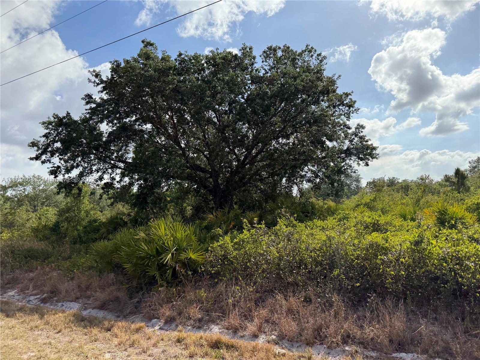 555 S Live Oak St, Clewiston, Florida image 1