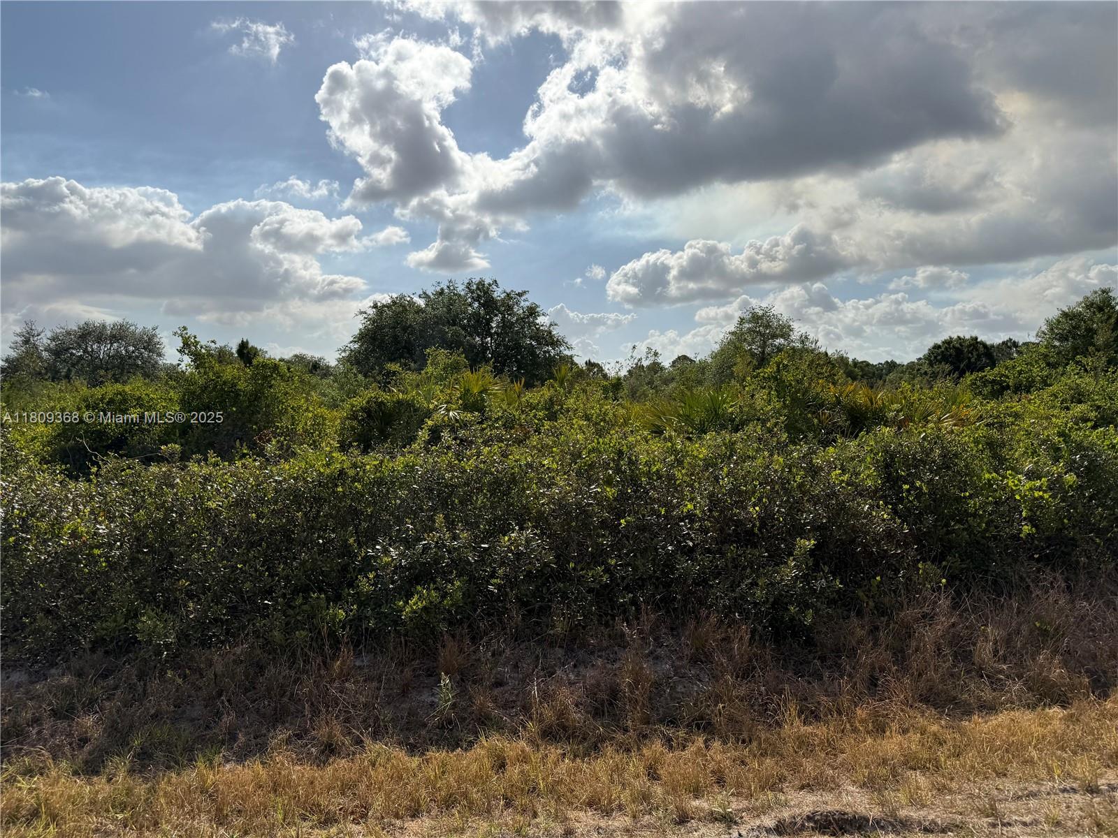 555 S Live Oak St, Clewiston, Florida image 10