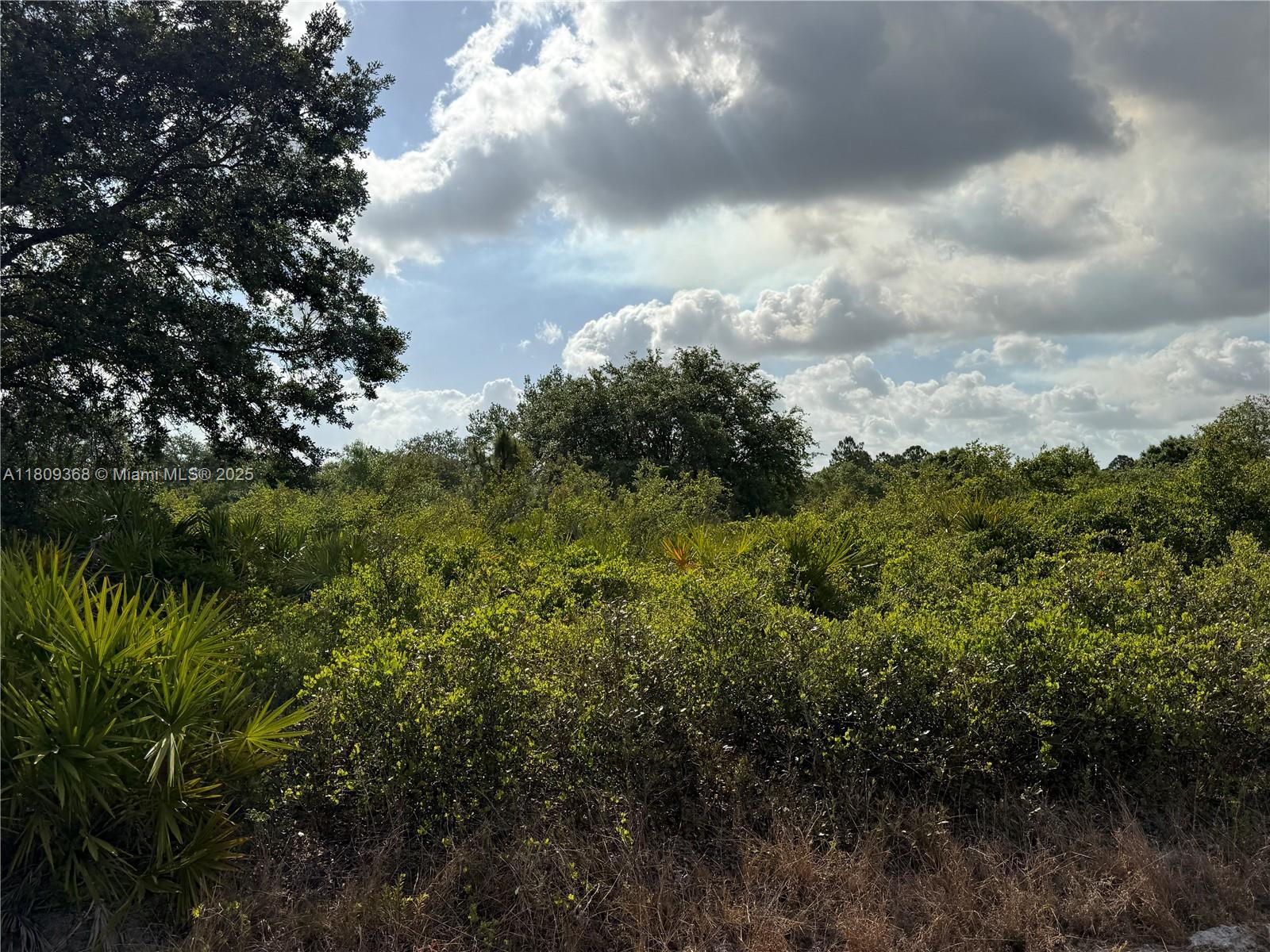 555 S Live Oak St, Clewiston, Florida image 11