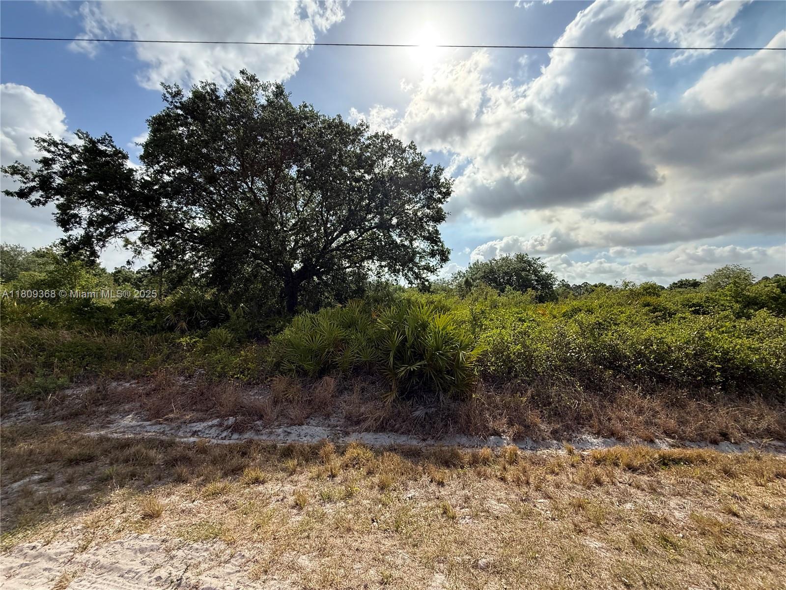 555 S Live Oak St, Clewiston, Florida image 12