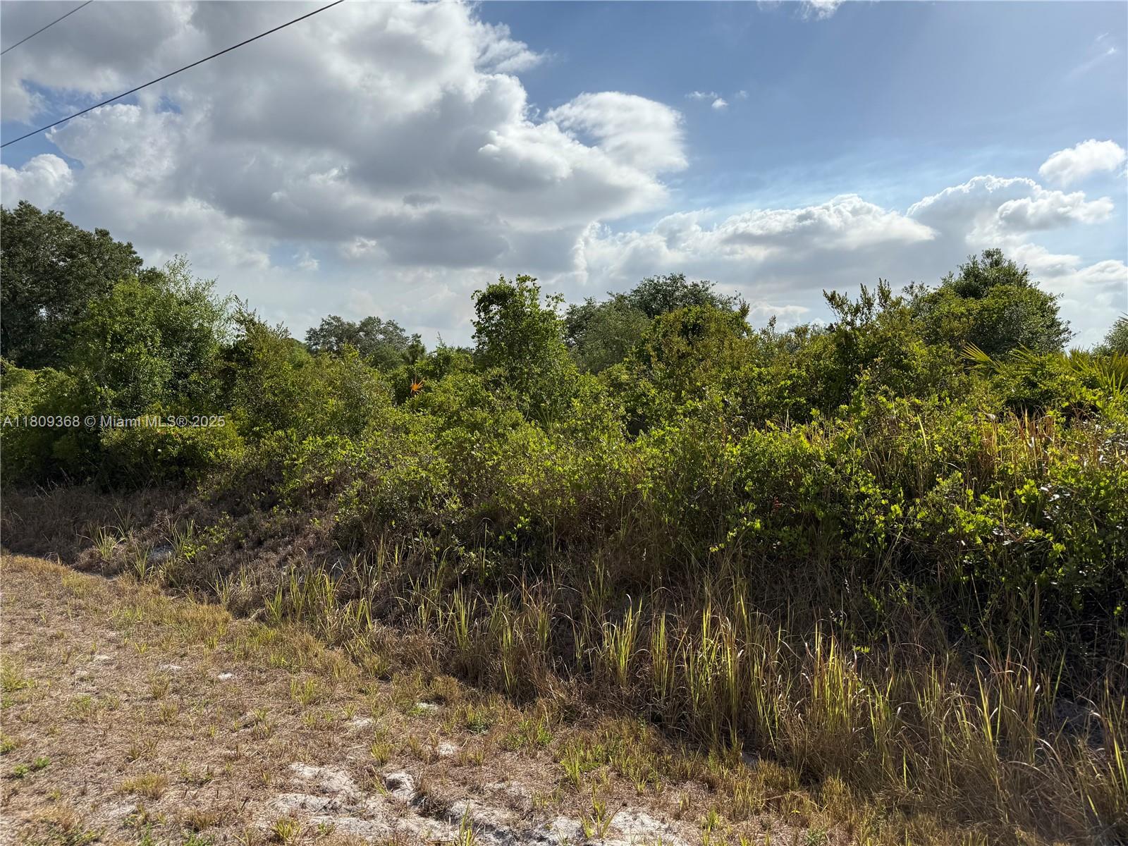 555 S Live Oak St, Clewiston, Florida image 2