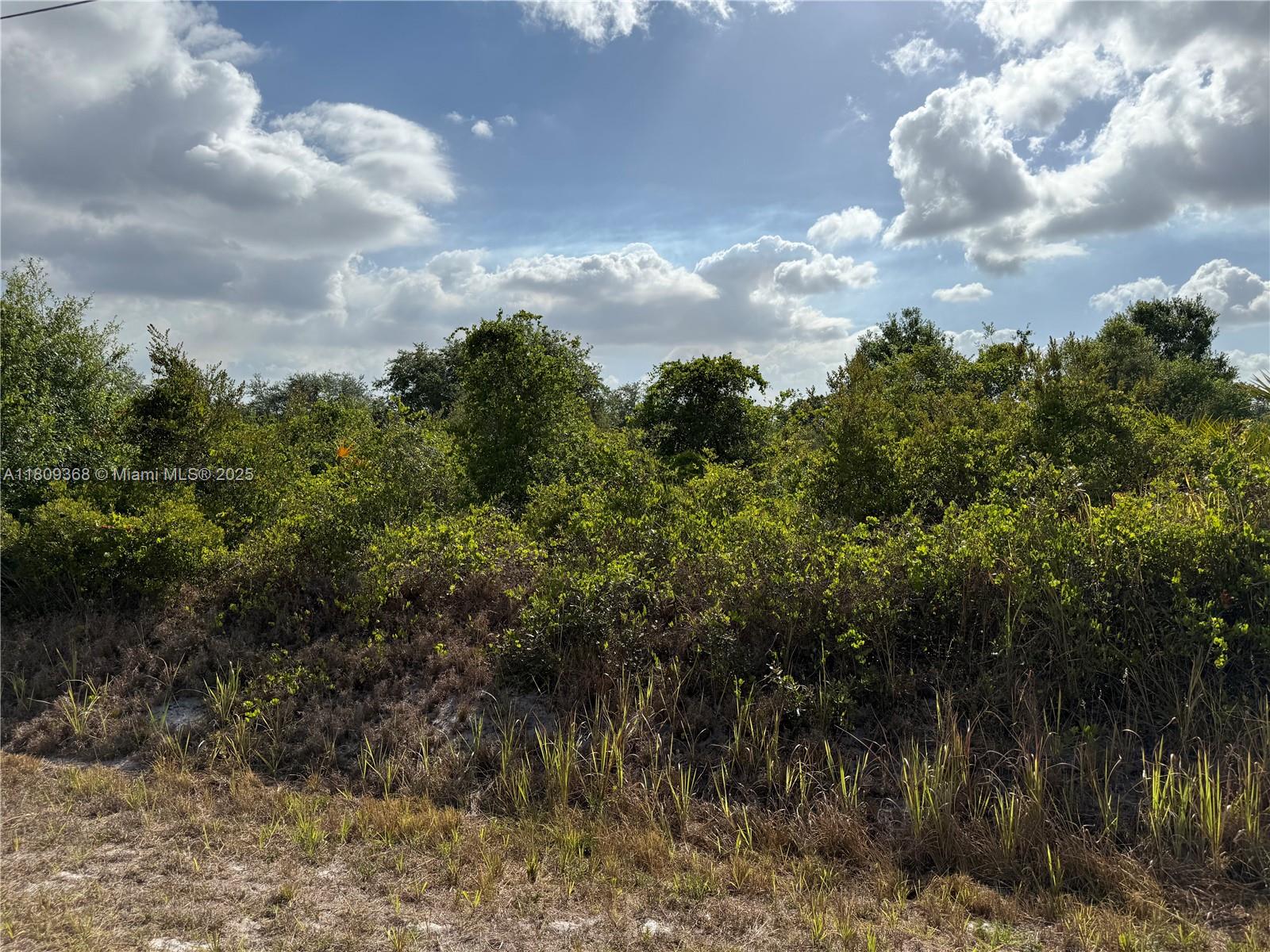 555 S Live Oak St, Clewiston, Florida image 3