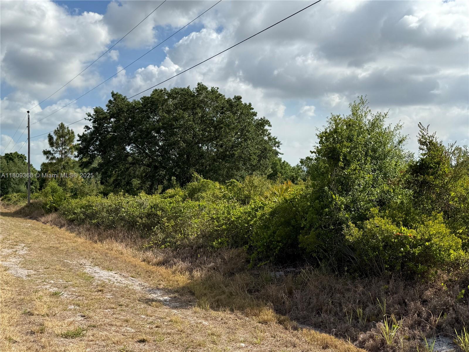 555 S Live Oak St, Clewiston, Florida image 4