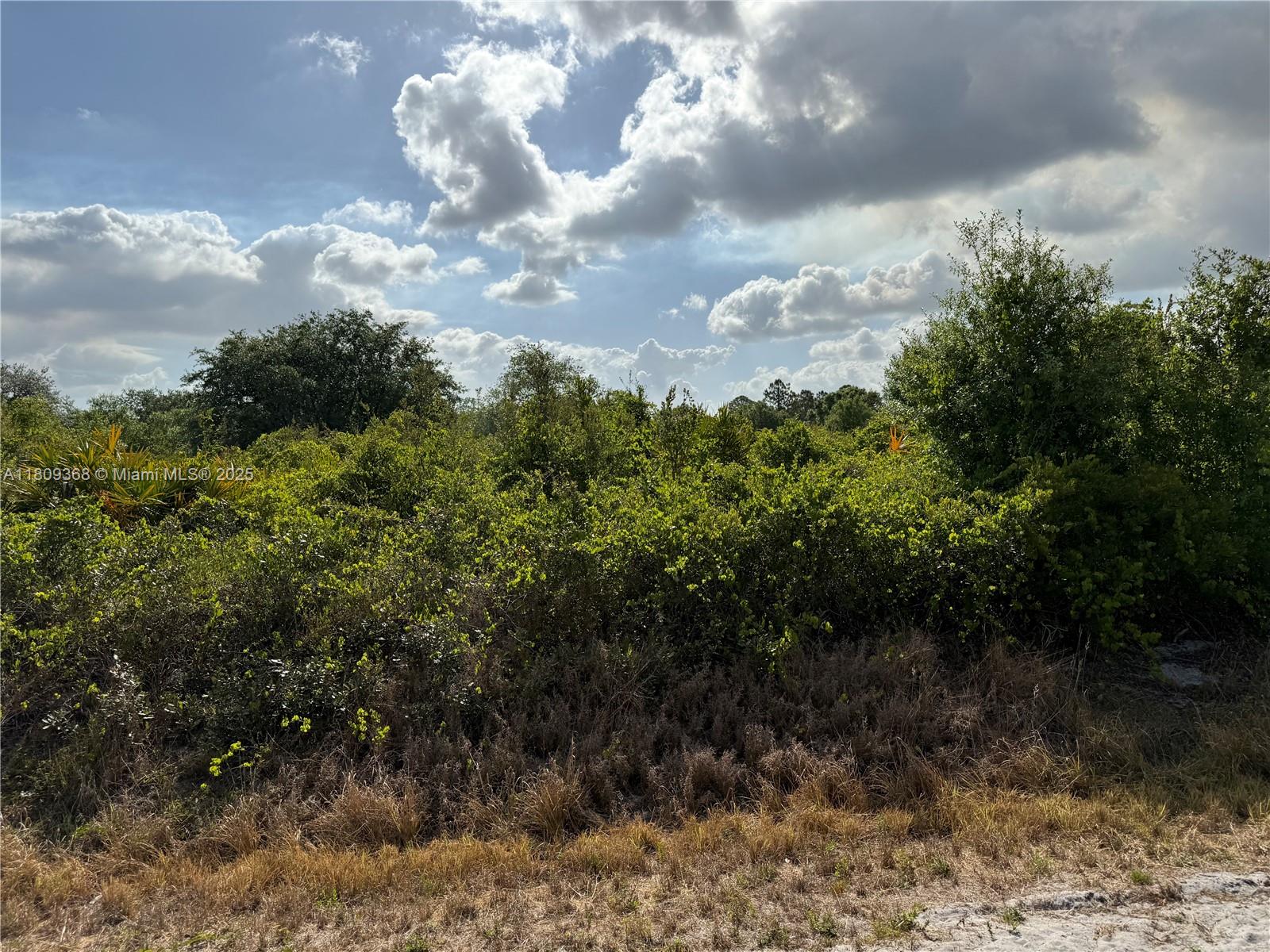 555 S Live Oak St, Clewiston, Florida image 7