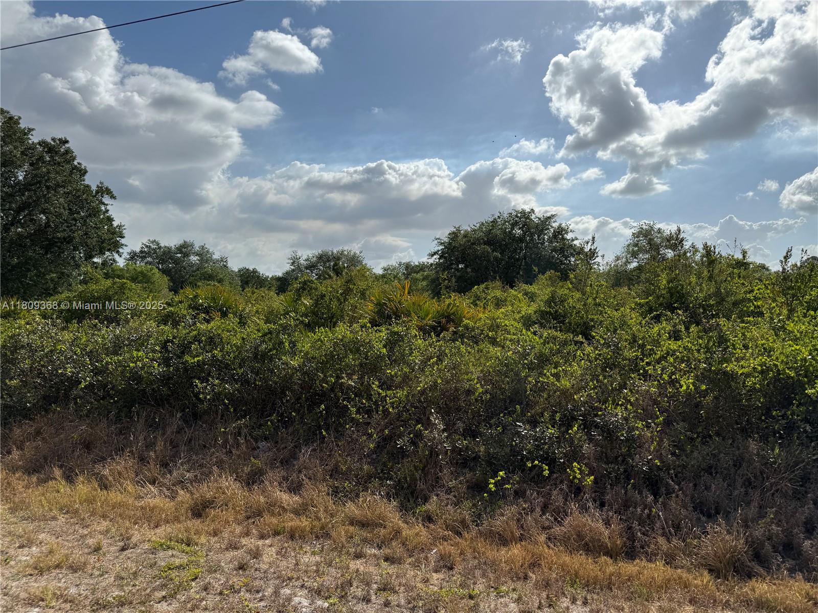555 S Live Oak St, Clewiston, Florida image 8