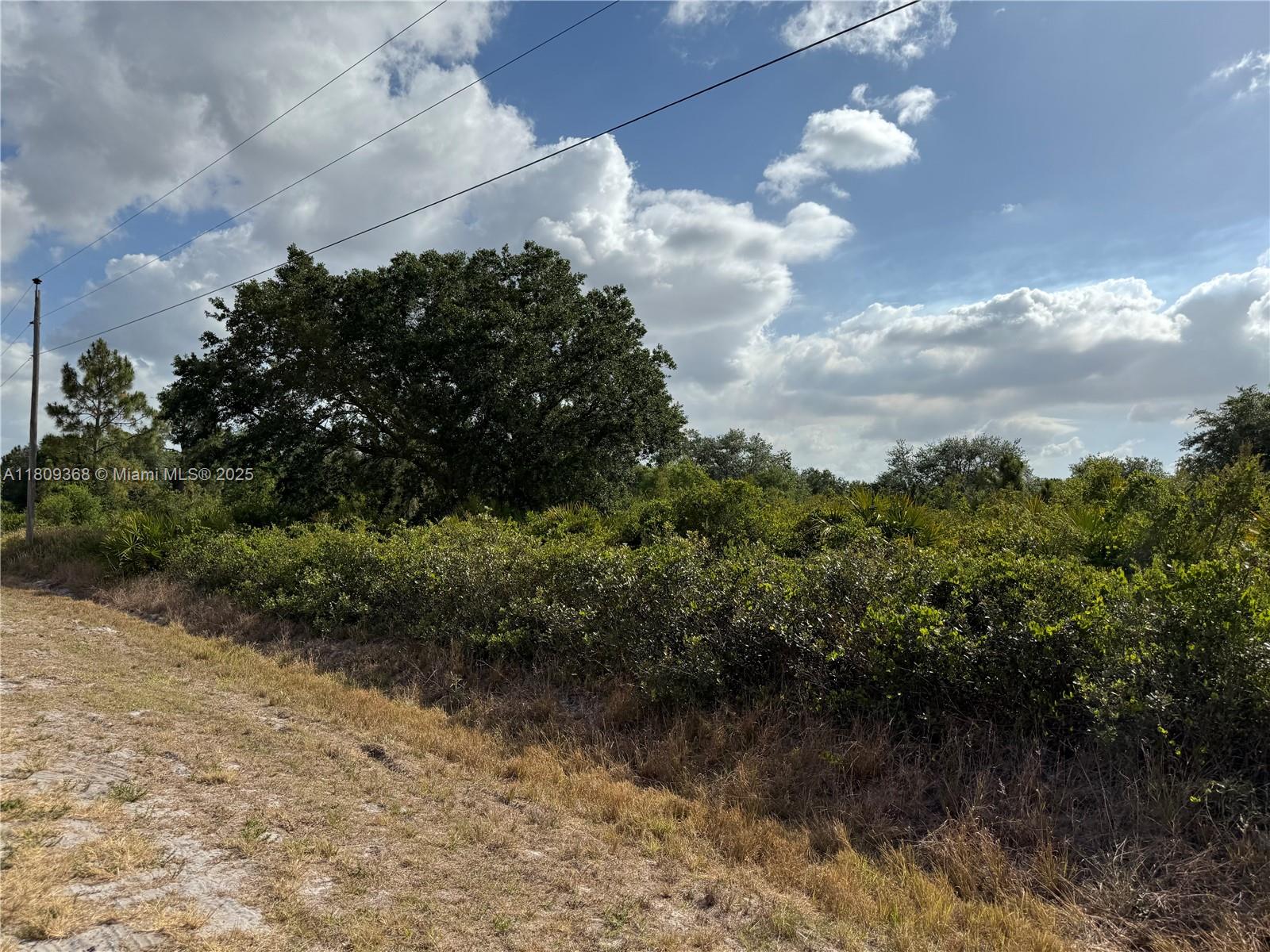 555 S Live Oak St, Clewiston, Florida image 9