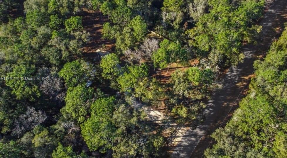 9078 S Hammock Ave, Inverness, Florida image 18