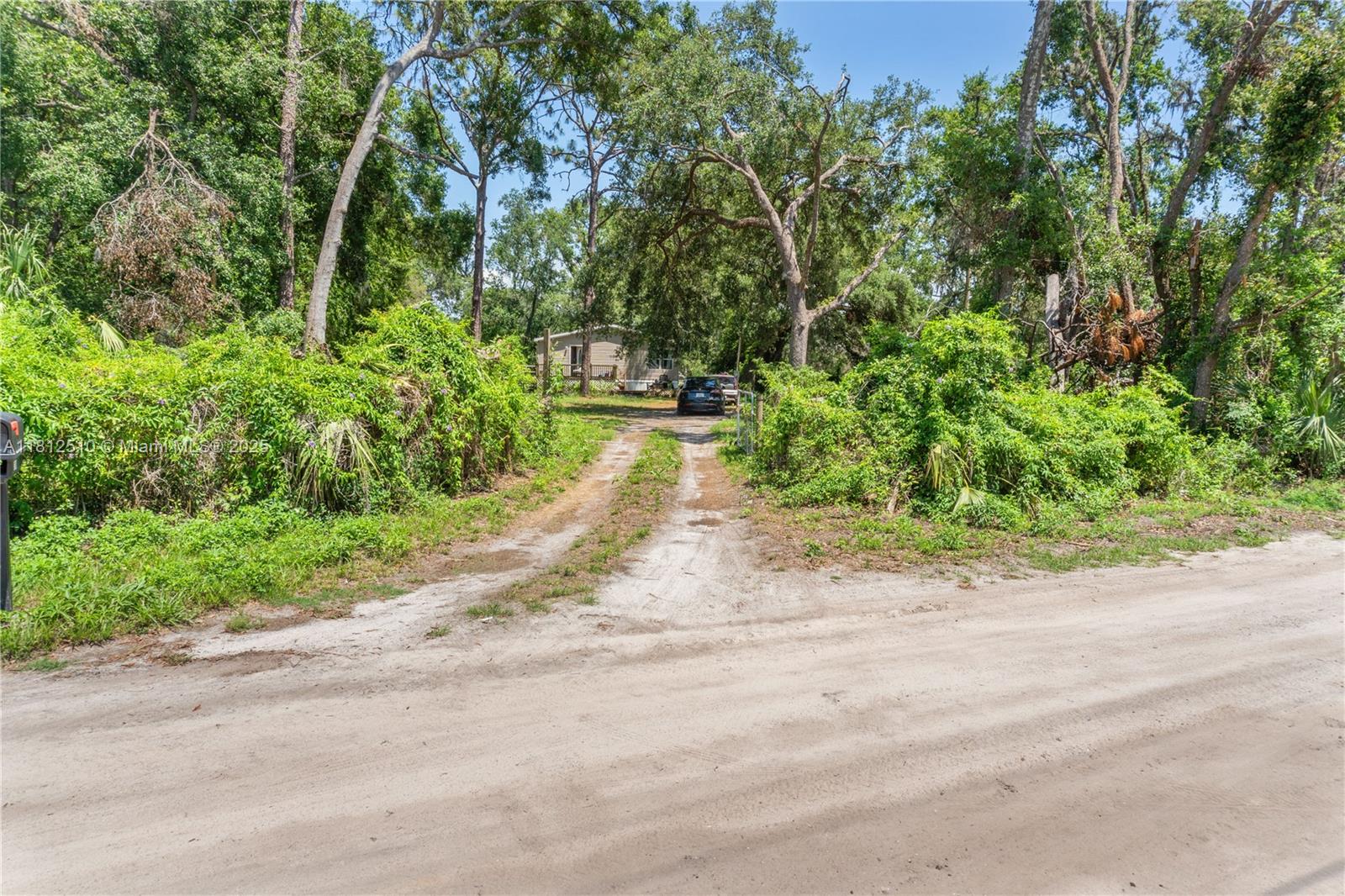 3906 Court St, Zephyrhills, Florida image 7