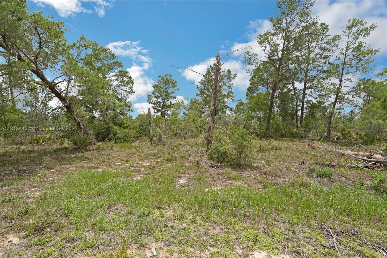 3055 Scoralick Rd,, Avon Park, Florida image 2