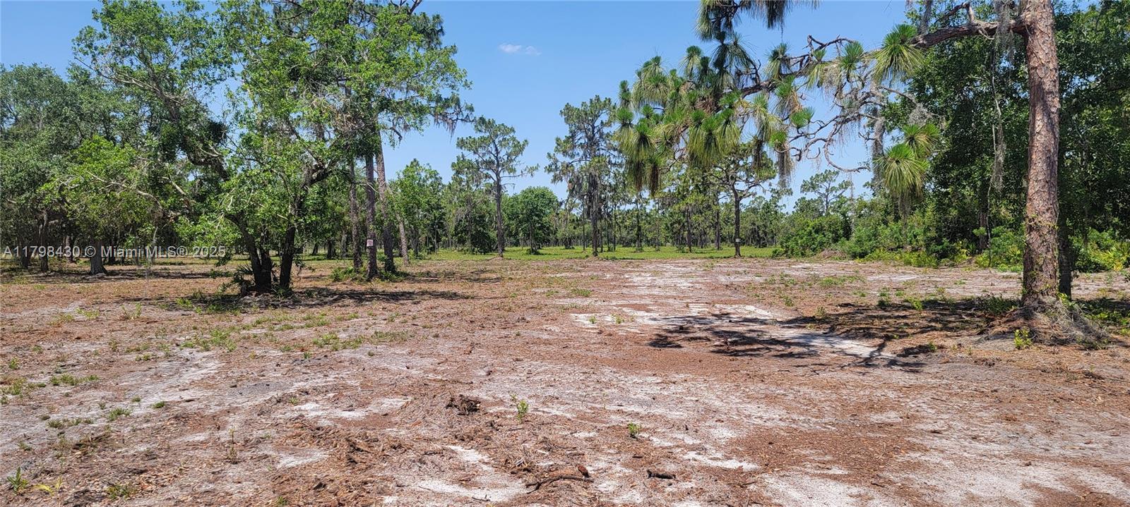 Rosalie Lake Rd, Lake Wales, Florida image 3