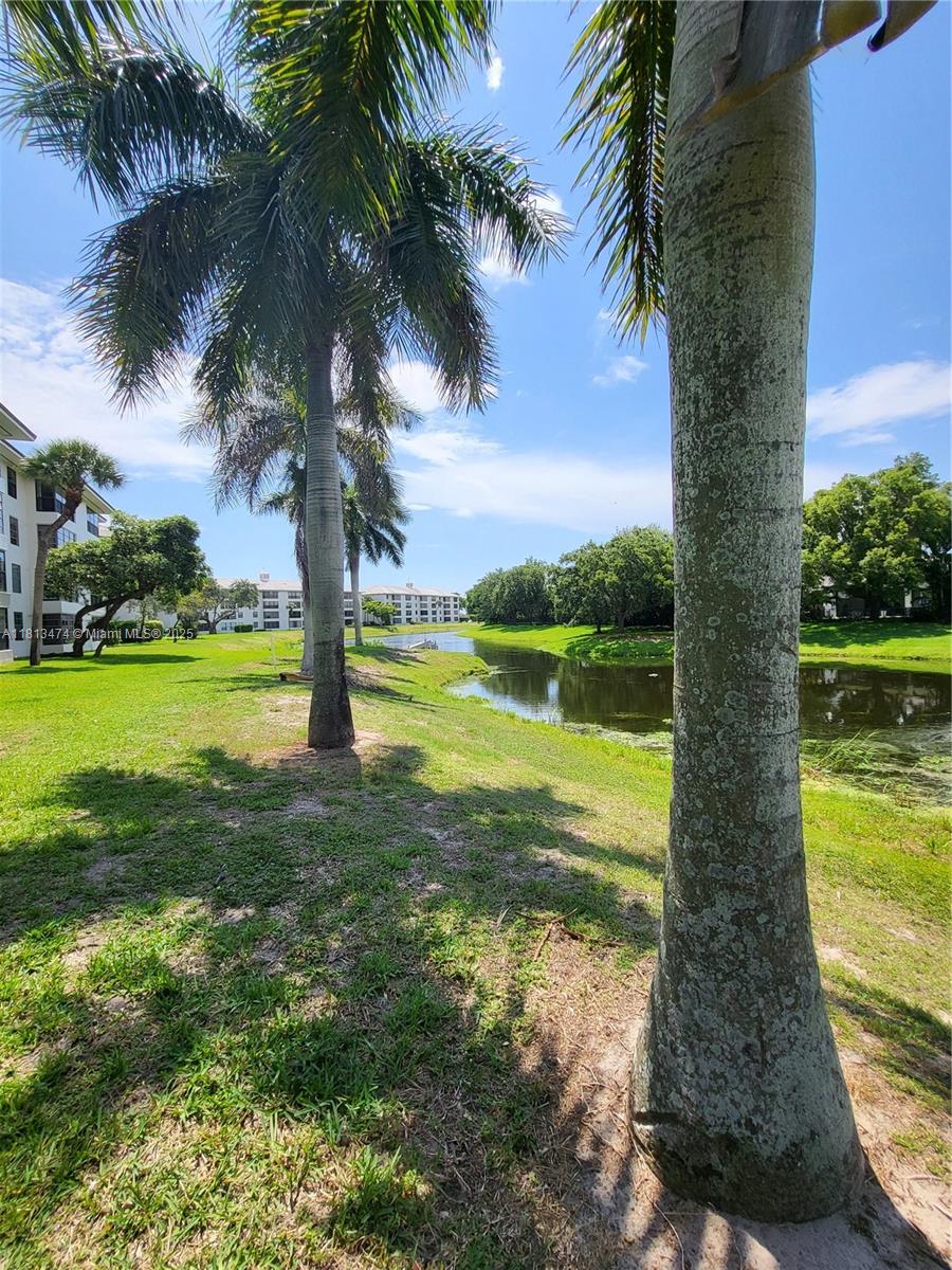 Property photo # 3