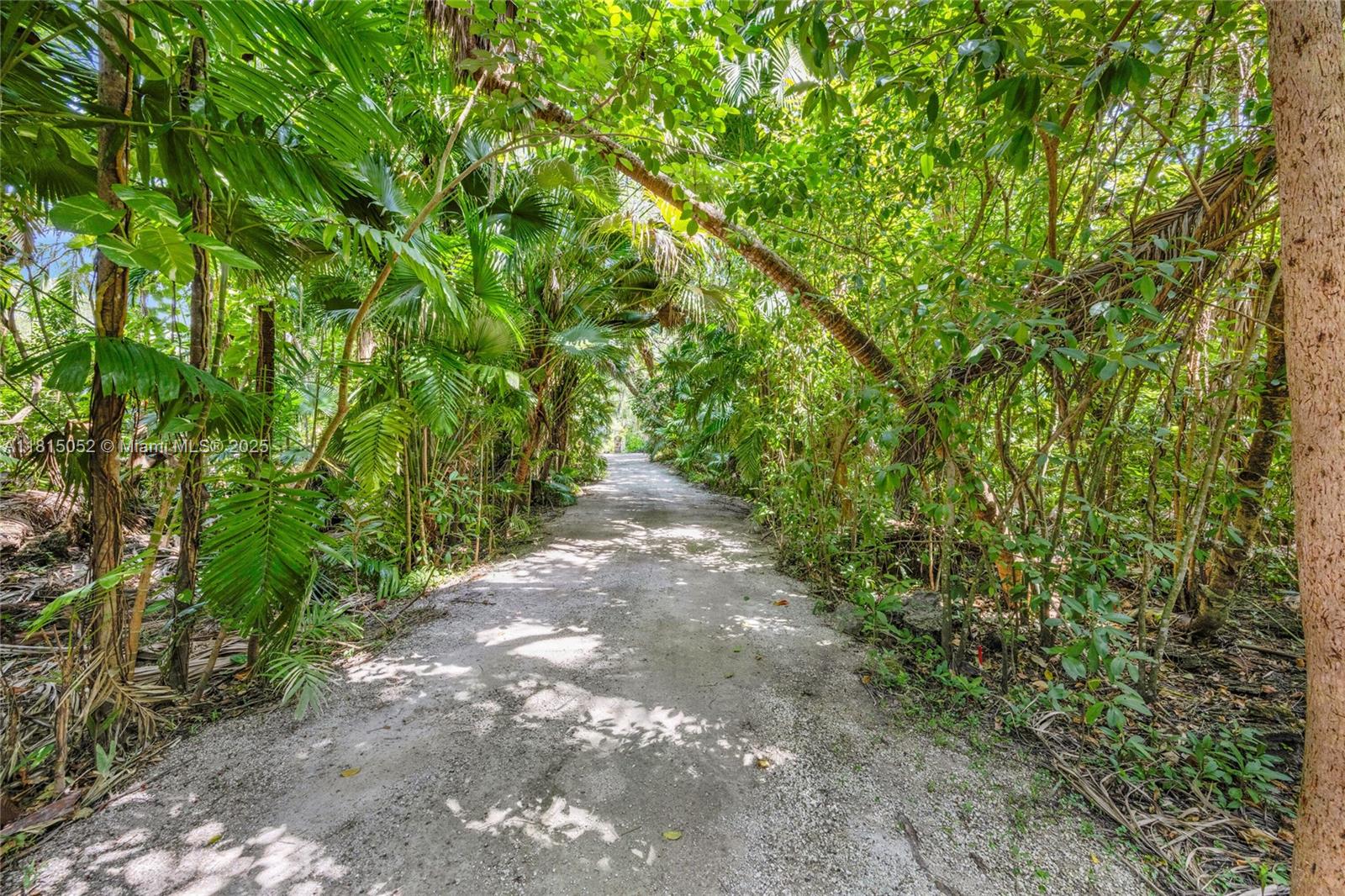 10005 Snapper Creek Rd, Coral Gables, Florida image 6